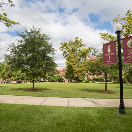 Mina Jo Powell Alumni Green