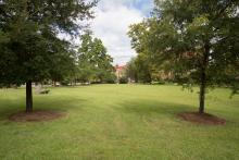 Mina Jo Powell Alumni Green