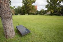 Historic bench at Mina Jo Powell Alumni Green