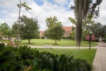 Mina Jo Powell Alumni Green