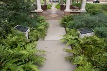 The Greek Park sidewalk