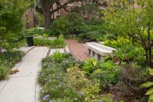 Memorial Garden