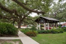 The Greek Park